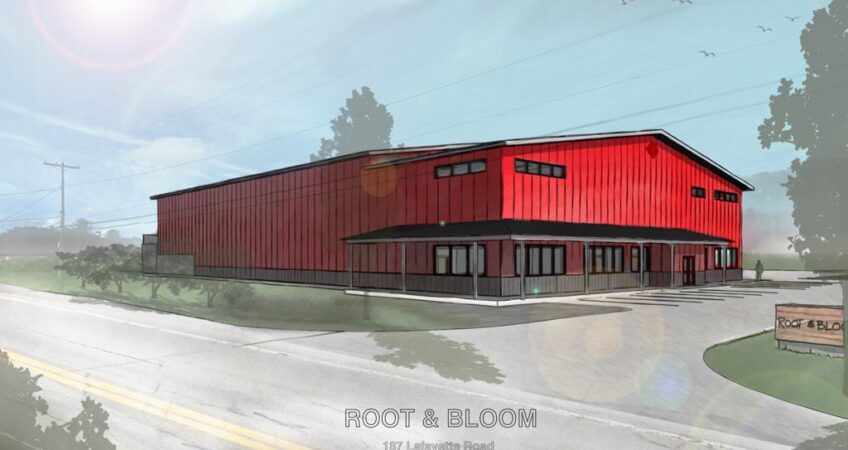 Root & Bloom rendering by Anderson Porter Design
